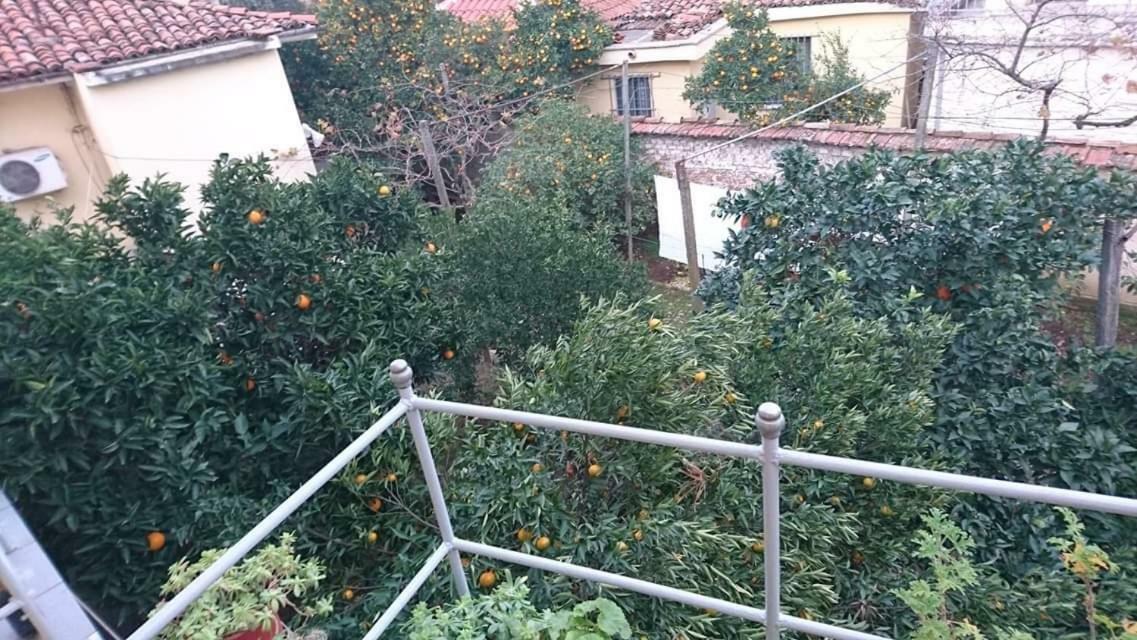Orange Villa Hotel Тирана Екстериор снимка